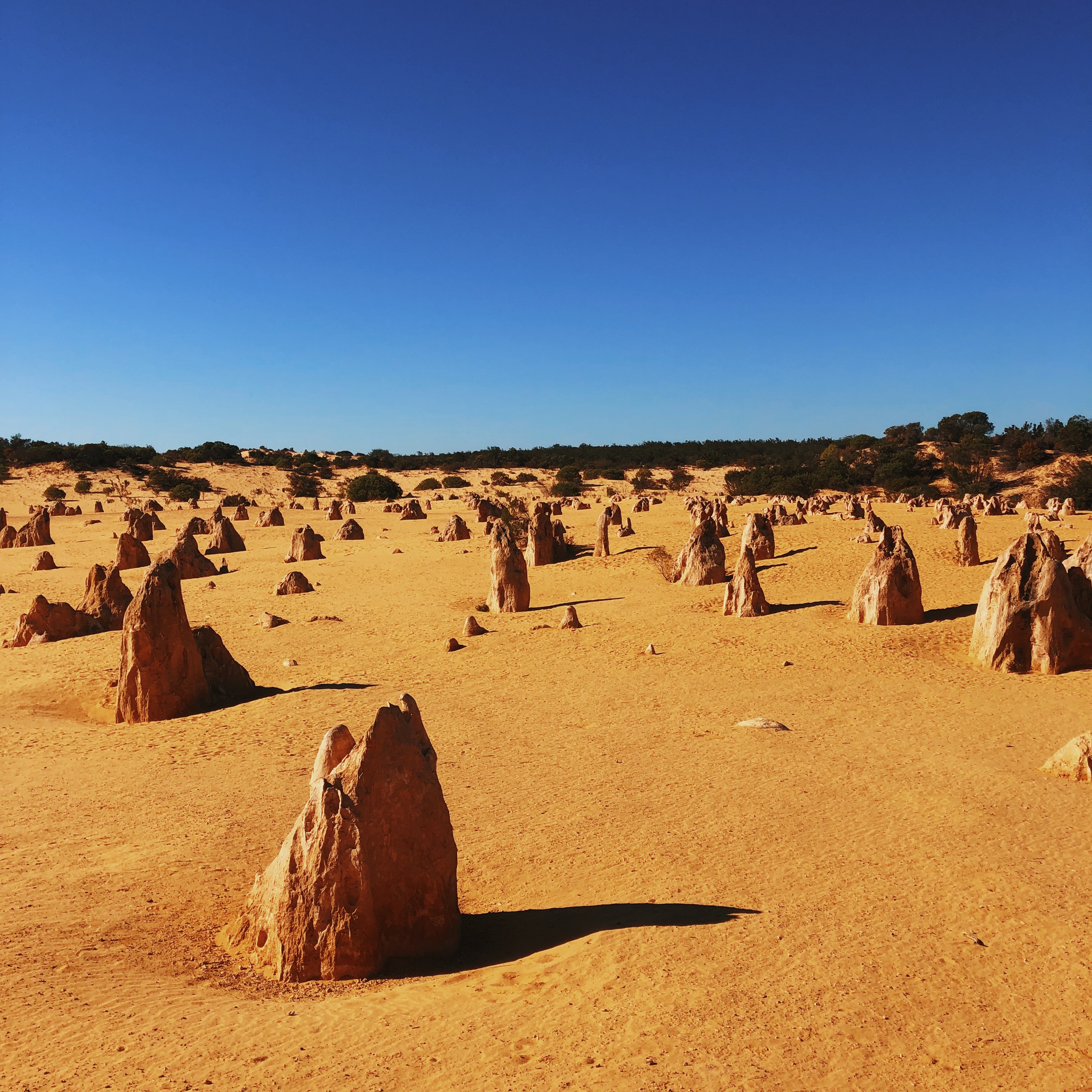 PinnaclesWA
